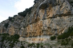 img_1206788842_330