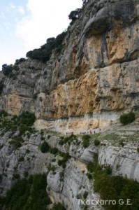 img_1206788844_414