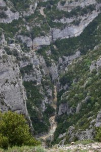 img_1206788846_224