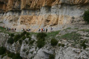 img_1206788846_437