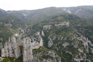 img_1206788847_175