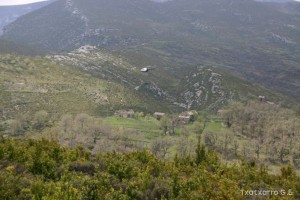 img_1206788849_866