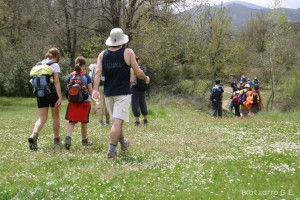 img_1206788852_443