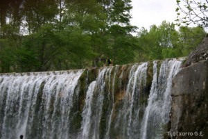 img_1206788858_159