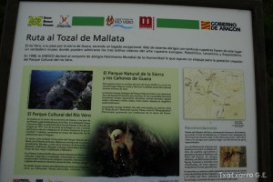 img_1206788871_373