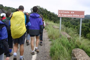 img_1206788871_562