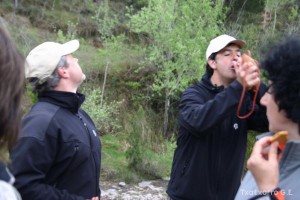 img_1206788874_178