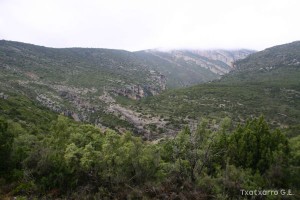img_1206788877_89