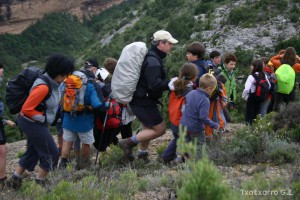 img_1206788878_442
