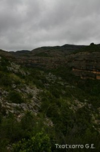 img_1206788879_874
