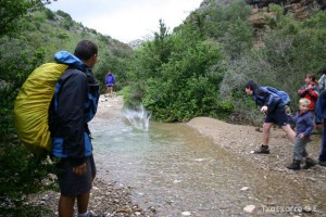 img_1206788881_402