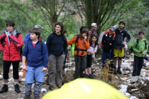img_1206788881_702