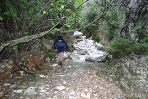 img_1206788882_600