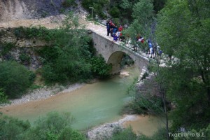 img_1206788884_733