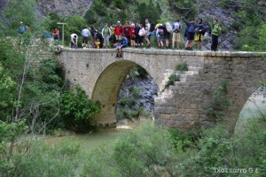 img_1206788885_378