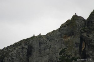 img_1206788886_221