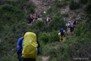 img_1206788886_303
