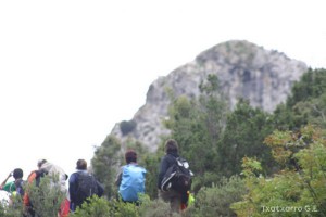 img_1206788887_260