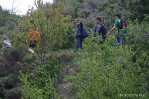 img_1206788887_704