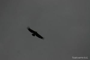 img_1206788888_287