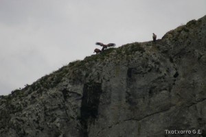 img_1206788889_524