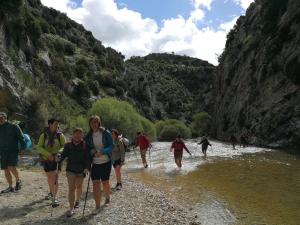 GUARA 3 (101)