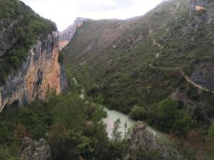GUARA 4 (17)