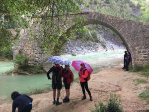 GUARA 4 (18)