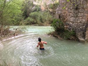 GUARA 4 (22)