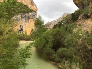 GUARA 4 (36)
