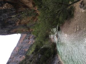 GUARA 4 (37)