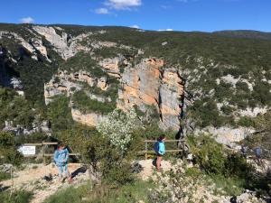 GUARA 4 (4)