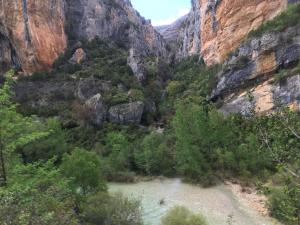 GUARA 4 (40)