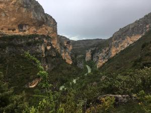 GUARA 4 (42)