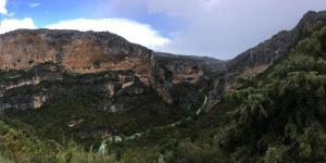 GUARA 4 (47)