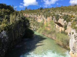 GUARA 4 (6)