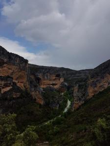 GUARA 4 (64)