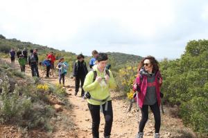 IMG 8875