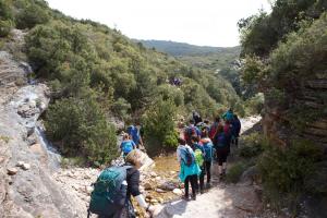 IMG 8878