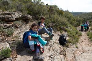 IMG 8879