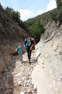 IMG 8883