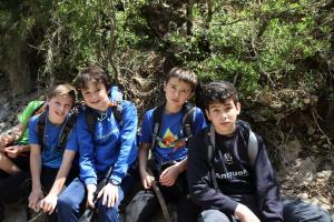 IMG 8887