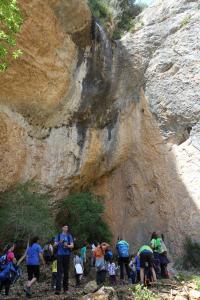 IMG 8997