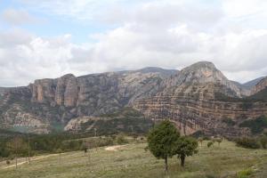 IMG 9062