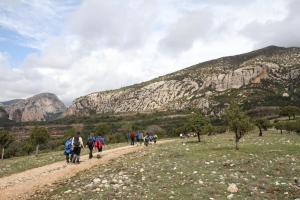 IMG 9090