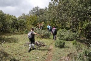 IMG 9124
