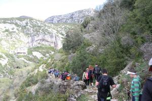IMG 9154