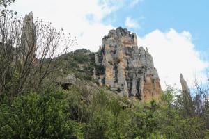 IMG 9173