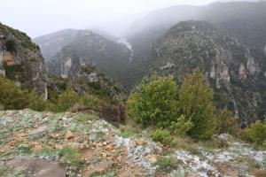IMG 9178