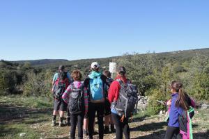 IMG 9192